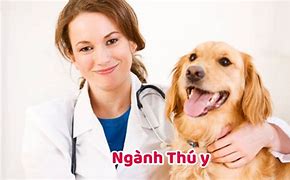 Học Thú Y Nên Học Trường Nào