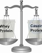 Whey Protein Isolate Và Casein Khác Nhau Như Thế Nào