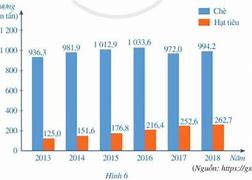 Xuất Khẩu Chè Việt Nam 2022 Là Bao Nhiêu Năm